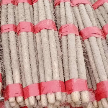 【品质保障】铁棍山药白玉山药大量上市中量大从优欢迎咨询