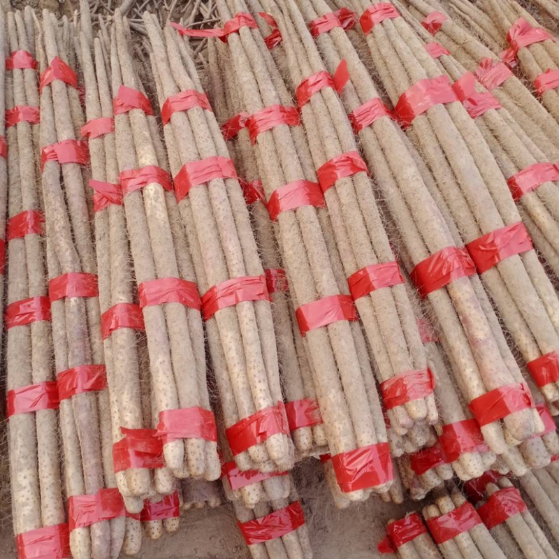【品质保障】铁棍山药白玉山药大量上市中量大从优欢迎咨询