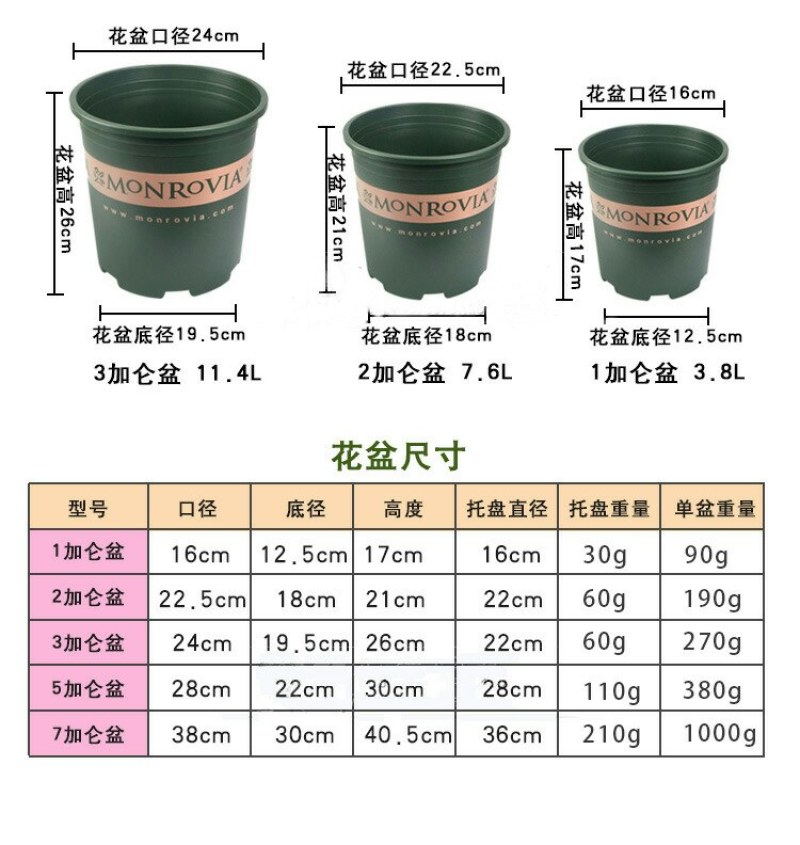 正品环球加仑花盆圆形塑料花盆园艺盆栽月季PP树脂多肉花盆