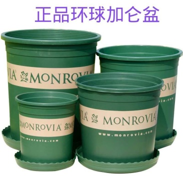 正品环球加仑花盆圆形塑料花盆园艺盆栽月季PP树脂多肉花盆