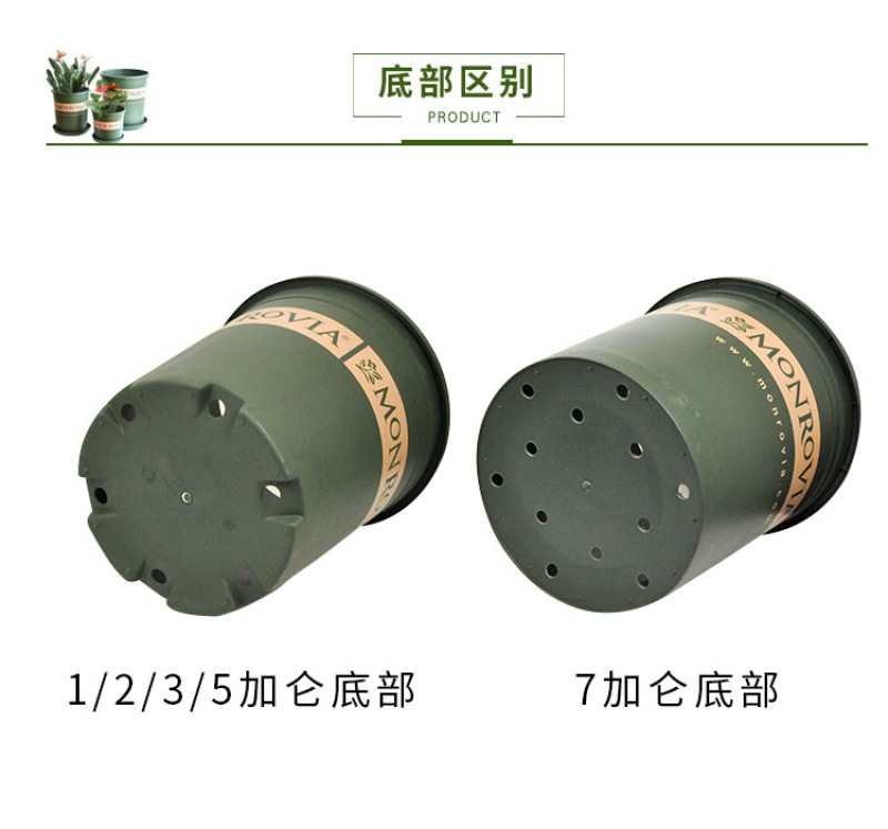 正品环球加仑花盆圆形塑料花盆园艺盆栽月季PP树脂多肉花盆
