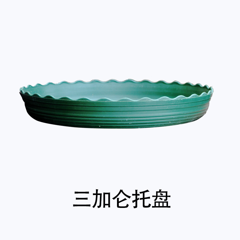 正品环球加仑花盆圆形塑料花盆园艺盆栽月季PP树脂多肉花盆