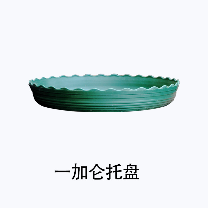 正品环球加仑花盆圆形塑料花盆园艺盆栽月季PP树脂多肉花盆