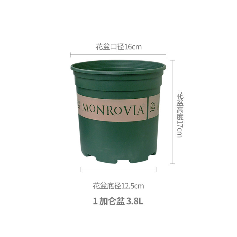正品环球加仑花盆圆形塑料花盆园艺盆栽月季PP树脂多肉花盆