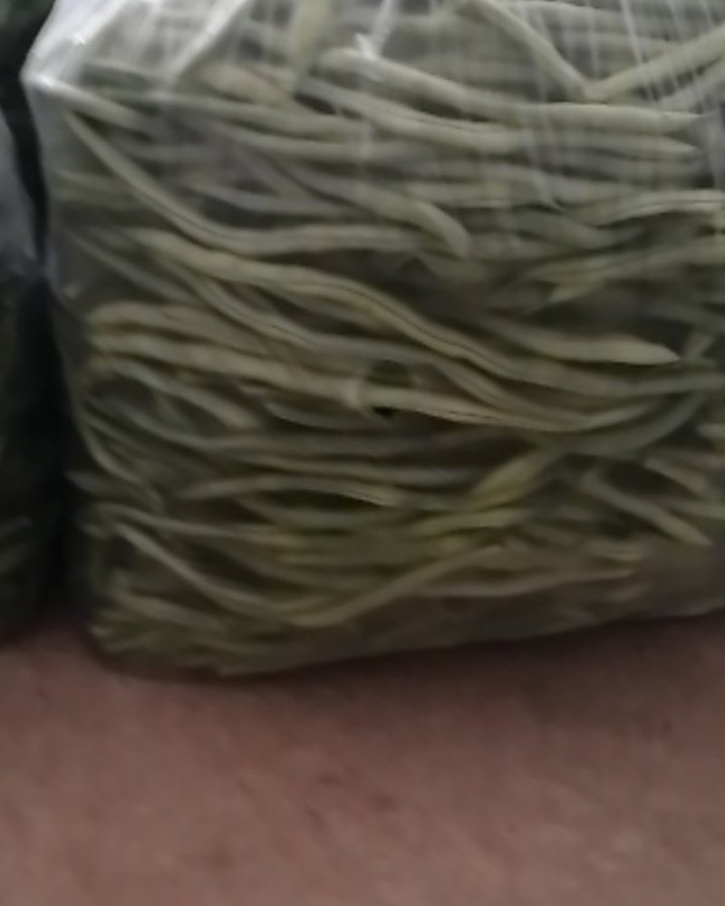 豆王一架豆王，无筋豆翠乳白色长度二十五到十二历米