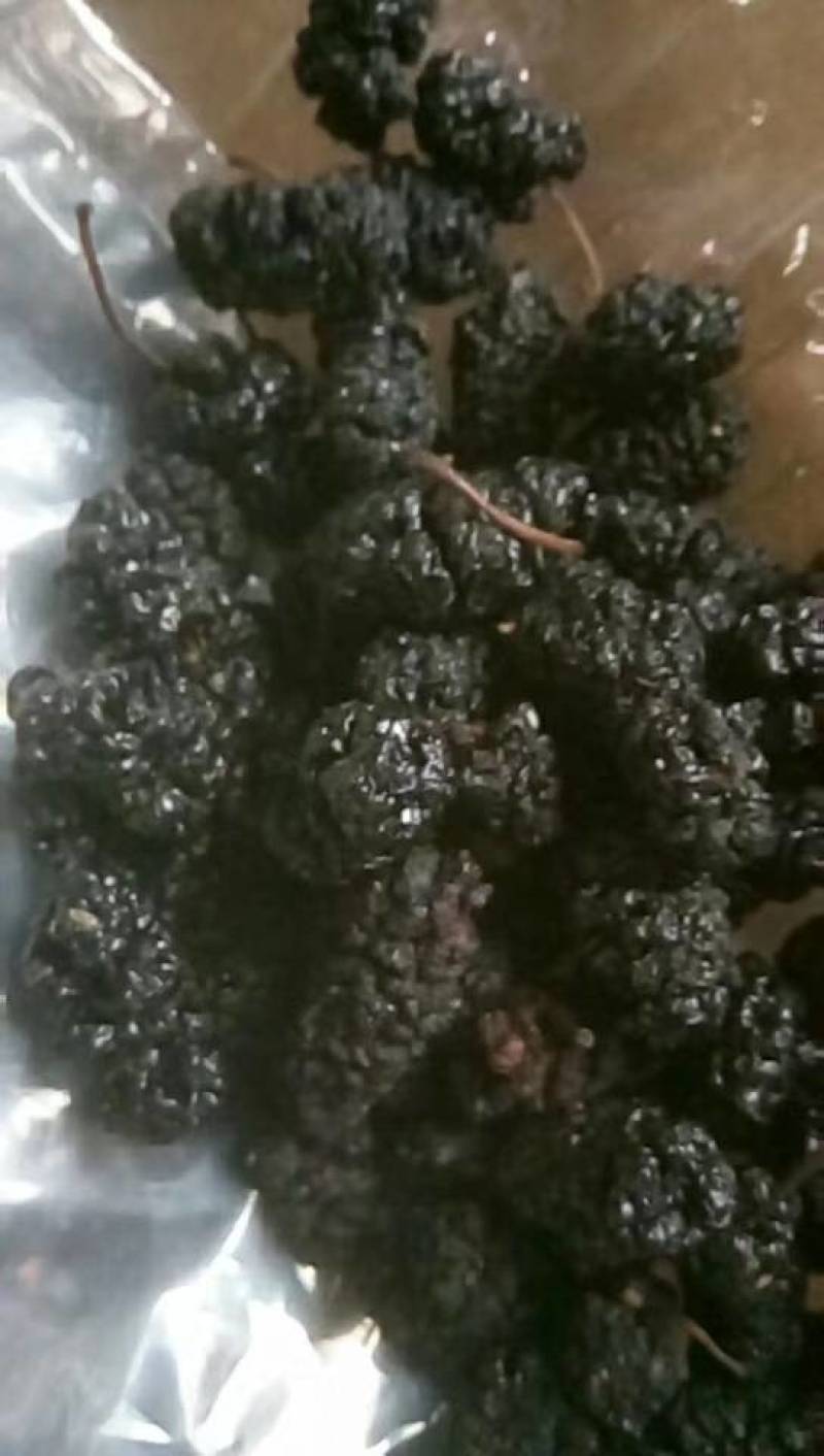 桑葚，鲜桑葚生产基地，鲜桑葚价格，鲜桑葚基地批发供应