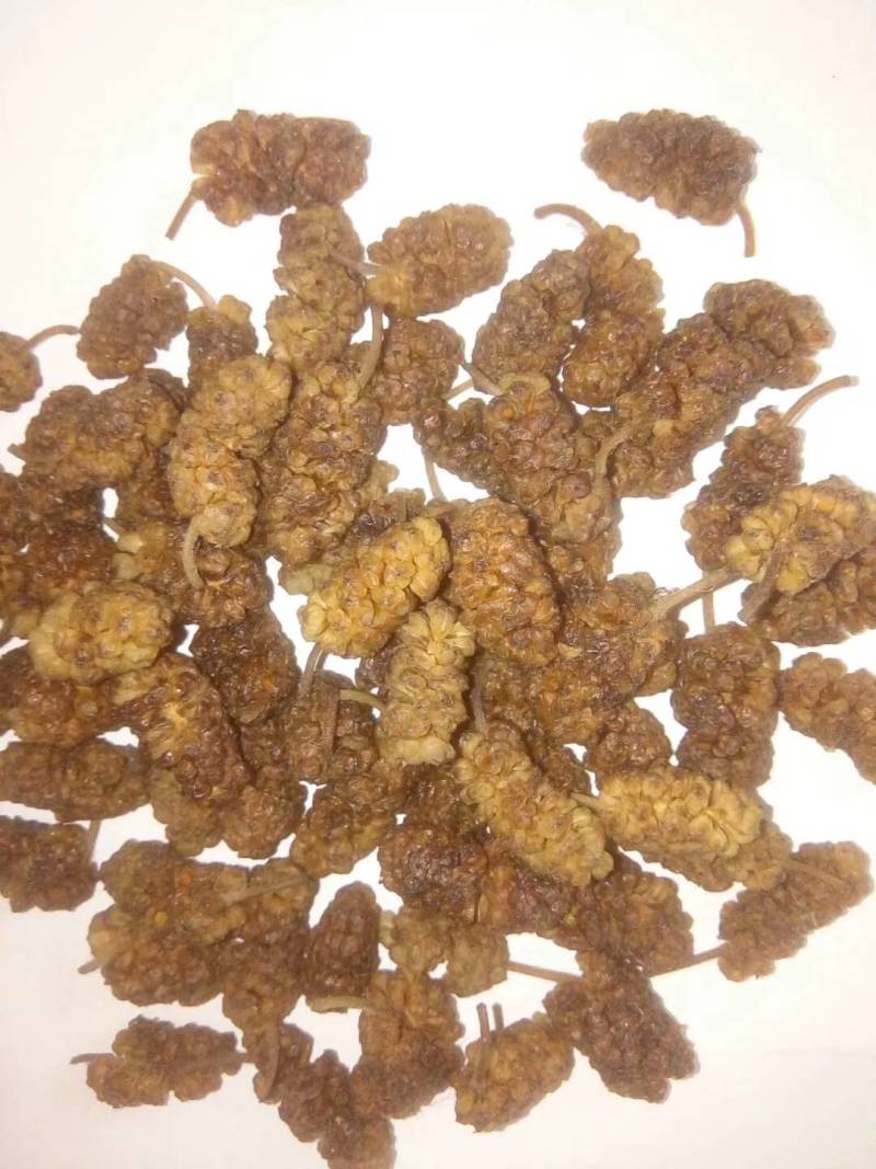 桑葚，鲜桑葚生产基地，鲜桑葚价格，鲜桑葚基地批发供应