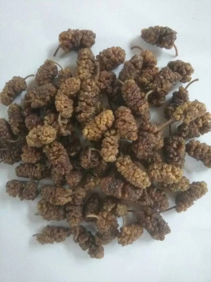 桑葚，鲜桑葚生产基地，鲜桑葚价格，鲜桑葚基地批发供应