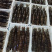 黑虎虾净重250克盒装