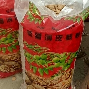 新疆核桃原产地，喀什叶城县