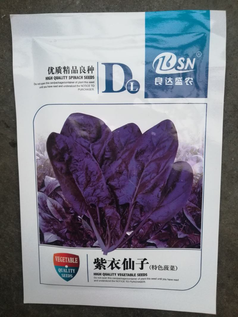紫色菠菜种子～观赏蔬菜种子新品种适应性强产量高口感好