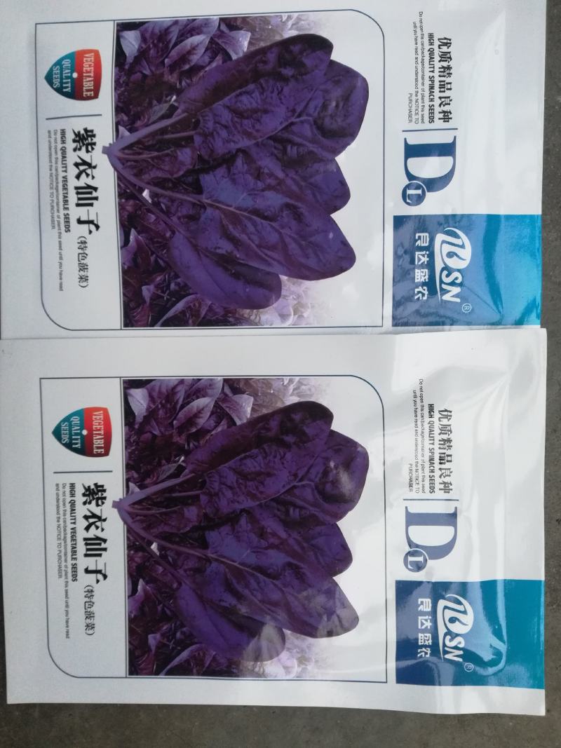 紫色菠菜种子～观赏蔬菜种子新品种适应性强产量高口感好