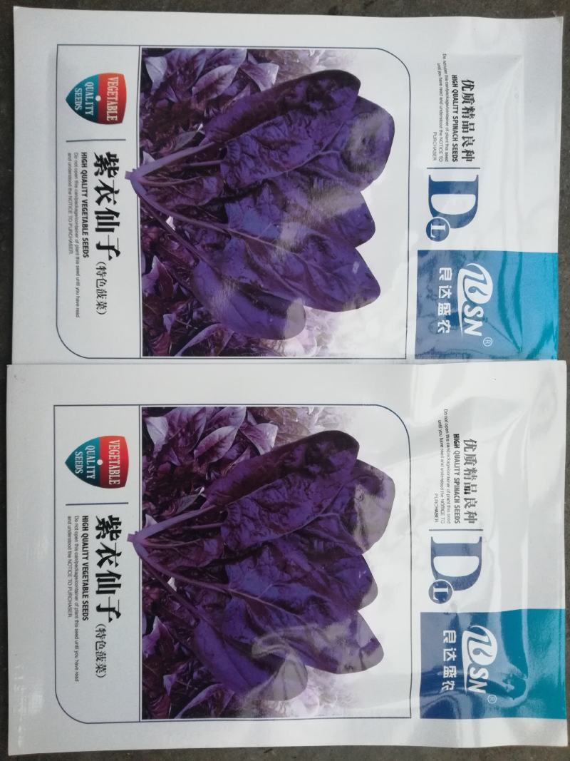 紫色菠菜种子～观赏蔬菜种子新品种适应性强产量高口感好