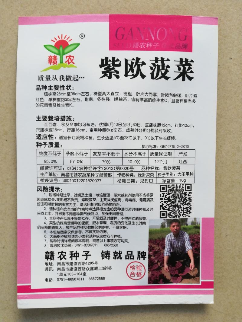 紫色菠菜种子～观赏蔬菜种子新品种适应性强产量高口感好