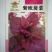 紫色菠菜种子～观赏蔬菜种子新品种适应性强产量高口感好