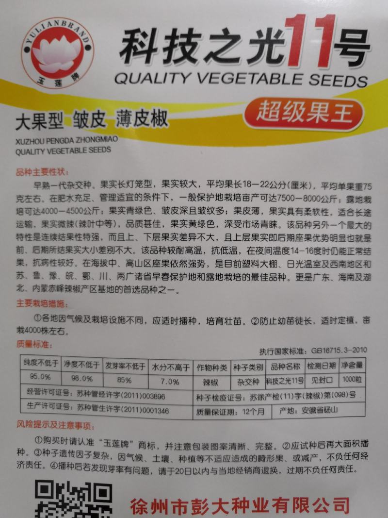 【热门产品】薄皮辣椒种子科技之光大果型特高产抗病皱皮
