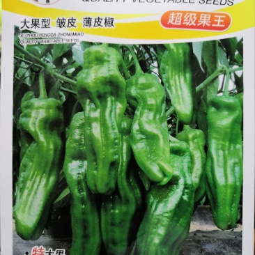 【热门产品】薄皮辣椒种子科技之光大果型特高产抗病皱皮
