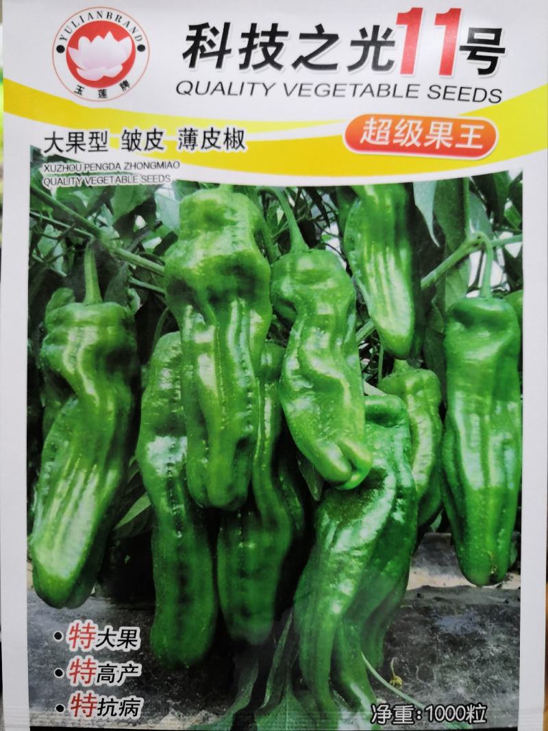 【热门产品】薄皮辣椒种子科技之光大果型特高产抗病皱皮