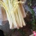 【品质保障】马家沟芹菜大棚芹菜可视频看货欢迎电话联系