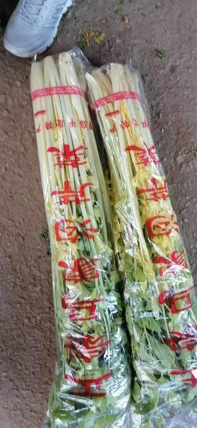 【品质保障】马家沟芹菜大棚芹菜可视频看货欢迎电话联系