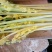 【品质保障】马家沟芹菜大棚芹菜可视频看货欢迎电话联系