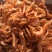 深海磷虾虾皮虾干虾肉虾米虾仁干虾虾干