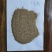 花生壳粉花生壳糠，1.5～10毫米花生壳粉，常年大量有货