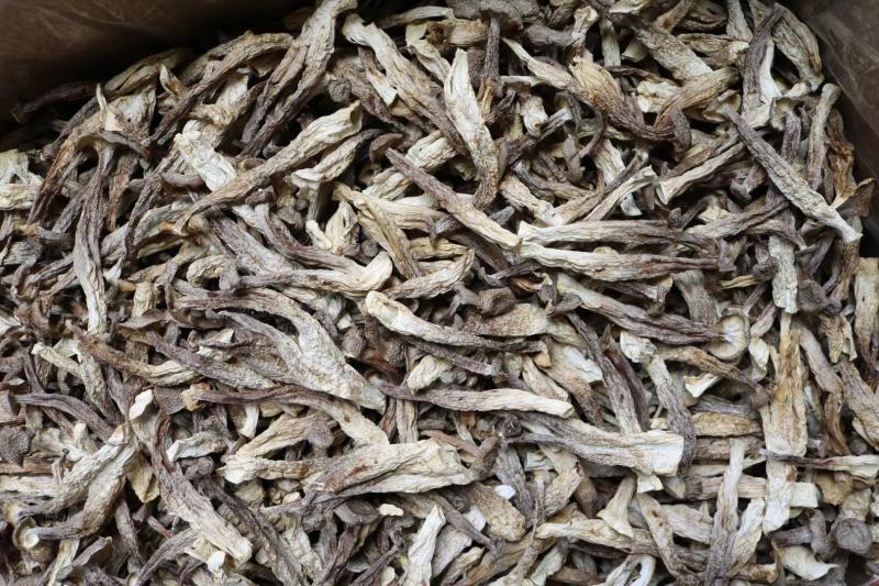 广州人AAA特级鹿茸菌粗条剪柄足干香味很浓一件代发批发