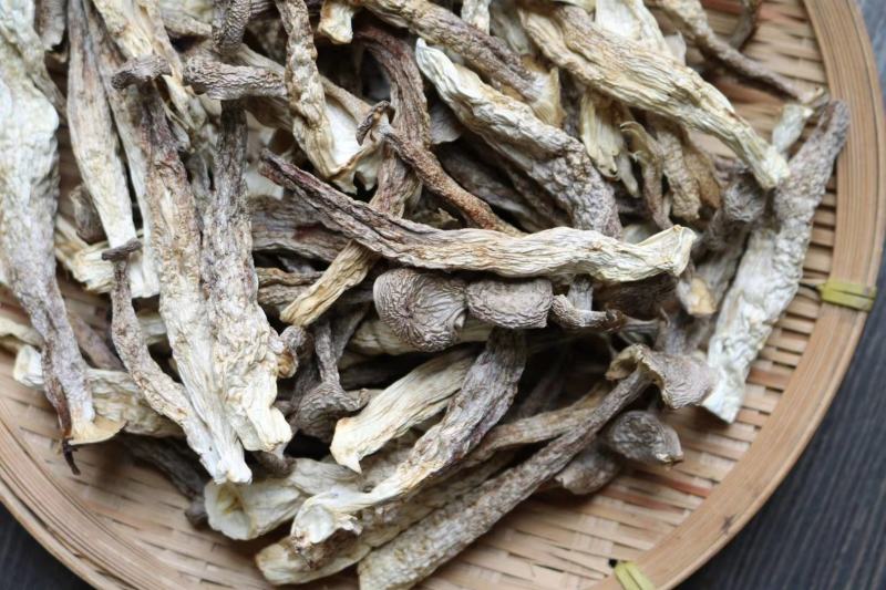 广州人AAA特级鹿茸菌粗条剪柄足干香味很浓一件代发批发