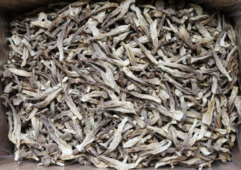 广州人AAA特级鹿茸菌粗条剪柄足干香味很浓一件代发批发