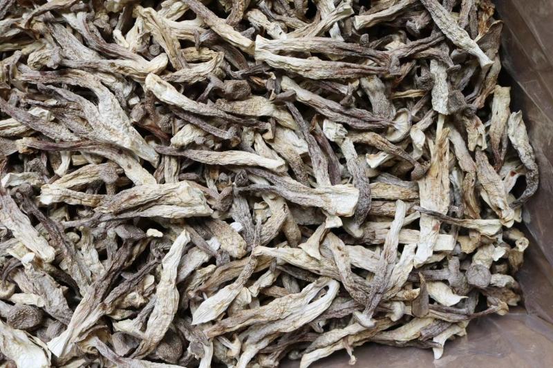 广州人AAA特级鹿茸菌粗条剪柄足干香味很浓一件代发批发