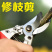 剪枝果树修枝剪刀园艺修剪树枝园林省力修花枝剪家用剪子摘果
