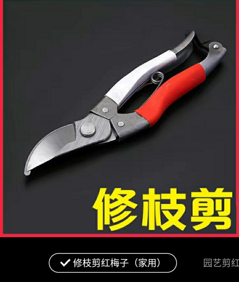 剪枝果树修枝剪刀园艺修剪树枝园林省力修花枝剪家用剪子摘果