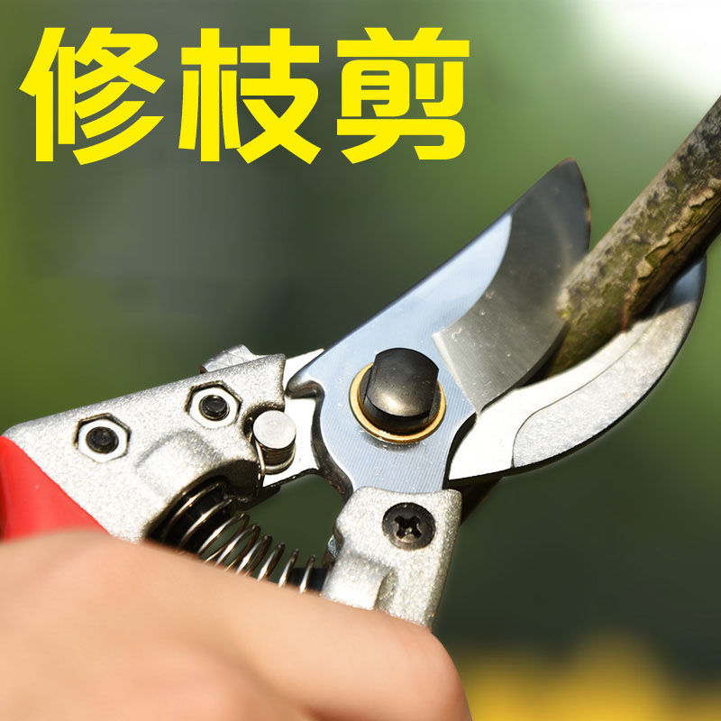 剪枝果树修枝剪刀园艺修剪树枝园林省力修花枝剪家用剪子摘果