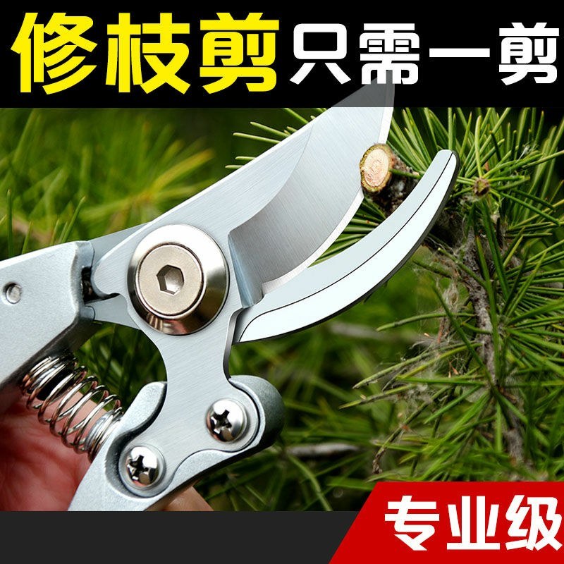 剪枝果树修枝剪刀园艺修剪树枝园林省力修花枝剪家用剪子摘果