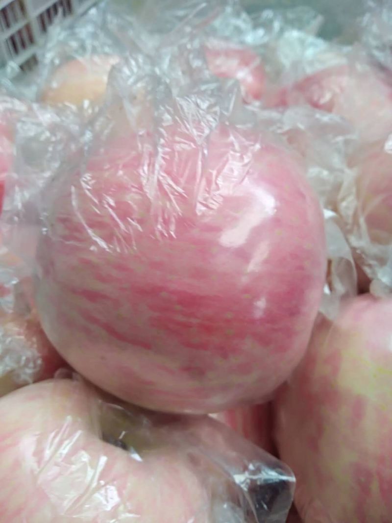 【一件代发】陕州区冰糖心精品红富士苹果无蜡