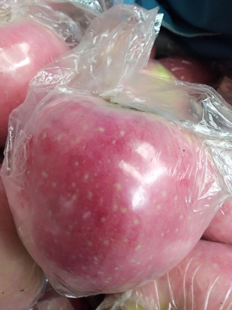 【一件代发】陕州区冰糖心精品红富士苹果无蜡