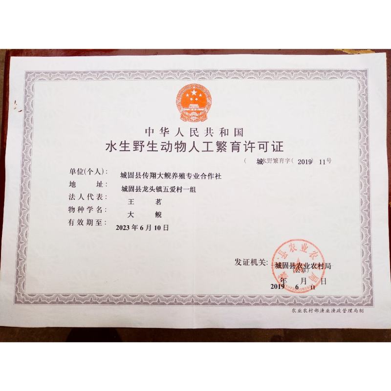 好货推荐仿生态冷水养殖大鲵娃娃鱼全国包邮包活