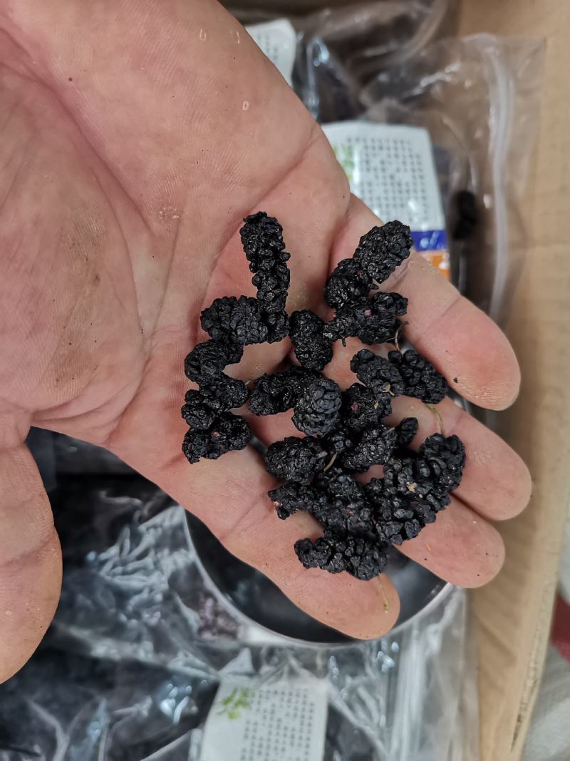 桑葚果干，2020年新货，足干新鲜干净，粒粒精选饱满