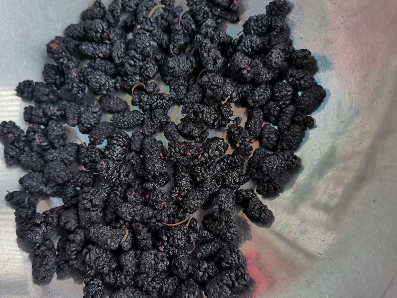 桑葚果干，2020年新货，足干新鲜干净，粒粒精选饱满