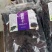 桑葚果干，2020年新货，足干新鲜干净，粒粒精选饱满