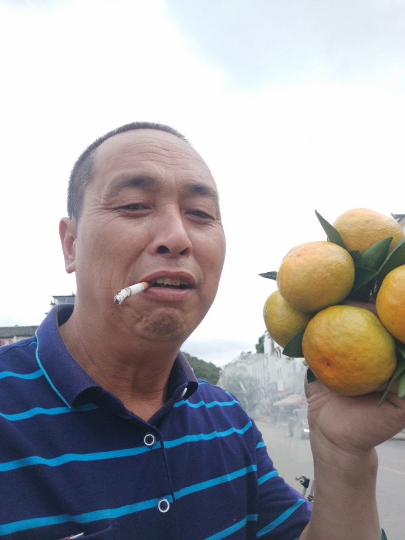 东江湖的普早现在大量上市中