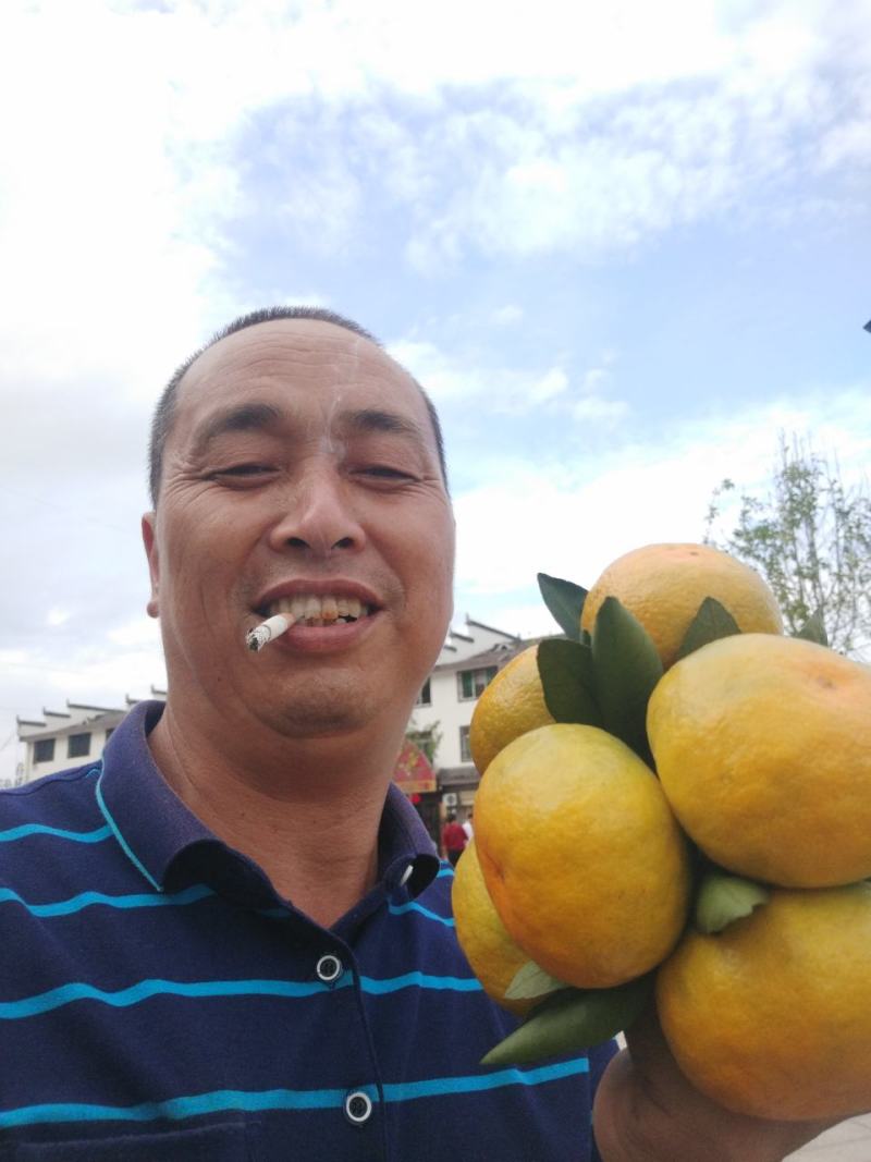 东江湖的普早现在大量上市中