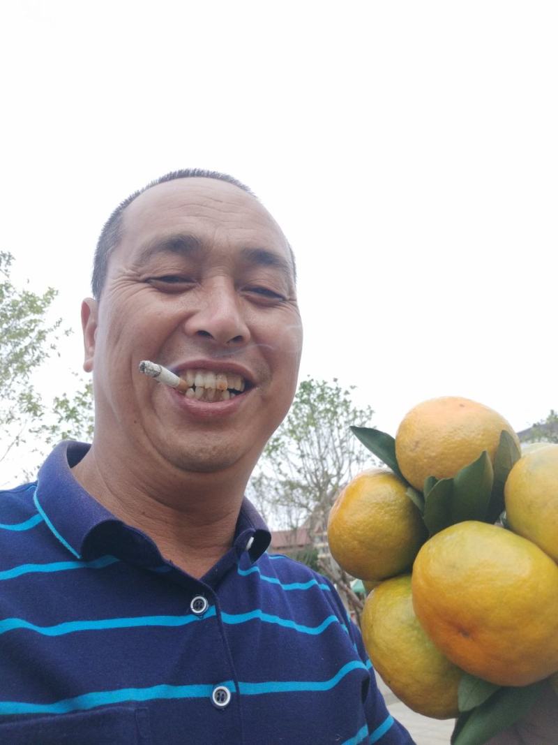 东江湖的普早现在大量上市中