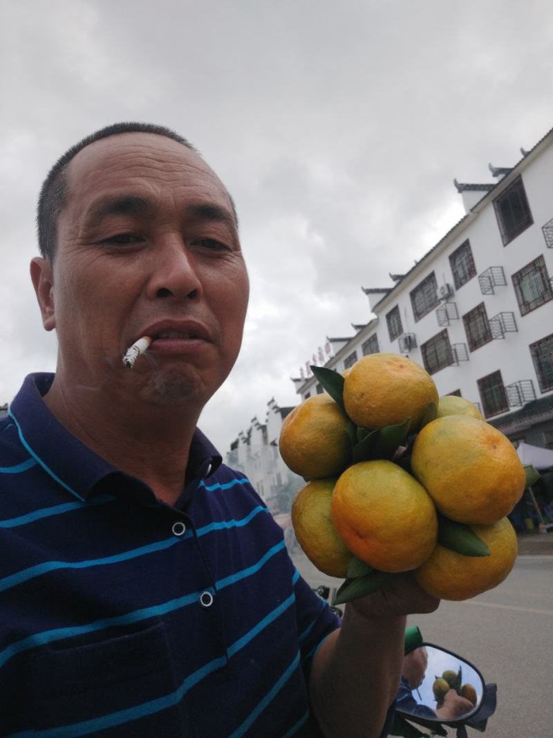东江湖的普早现在大量上市中