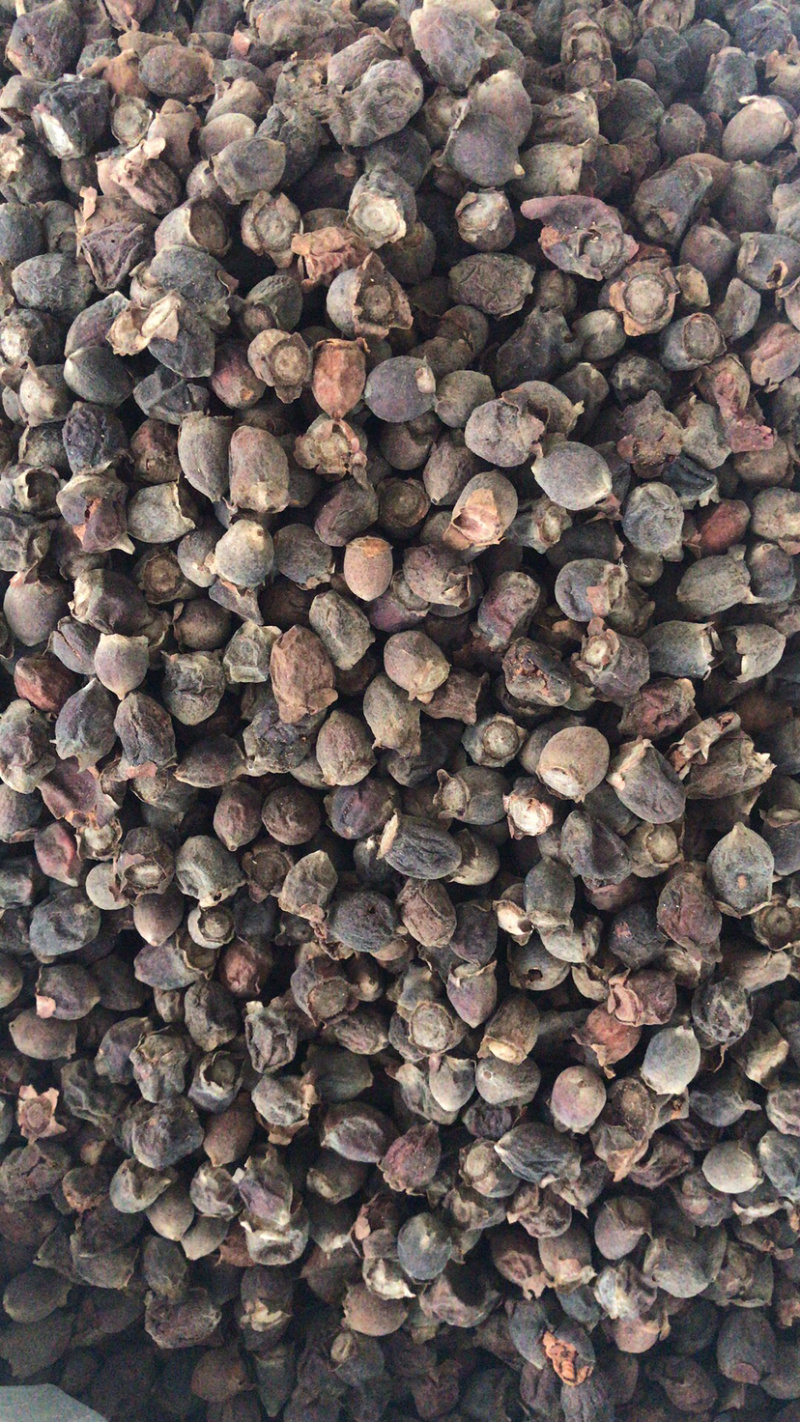 捻子捻子干一蒸一晒捻子干新货支持线上交易量大从优