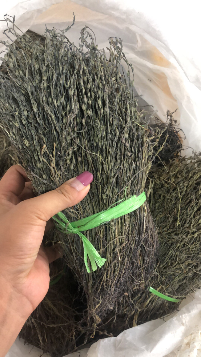 独脚金大货批发，各种规格有货！产地直销。