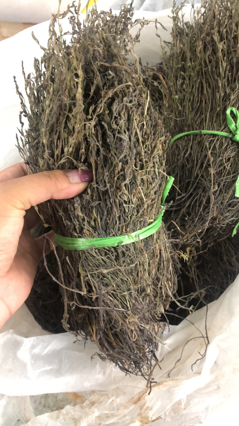 独脚金大货批发，各种规格有货！产地直销。