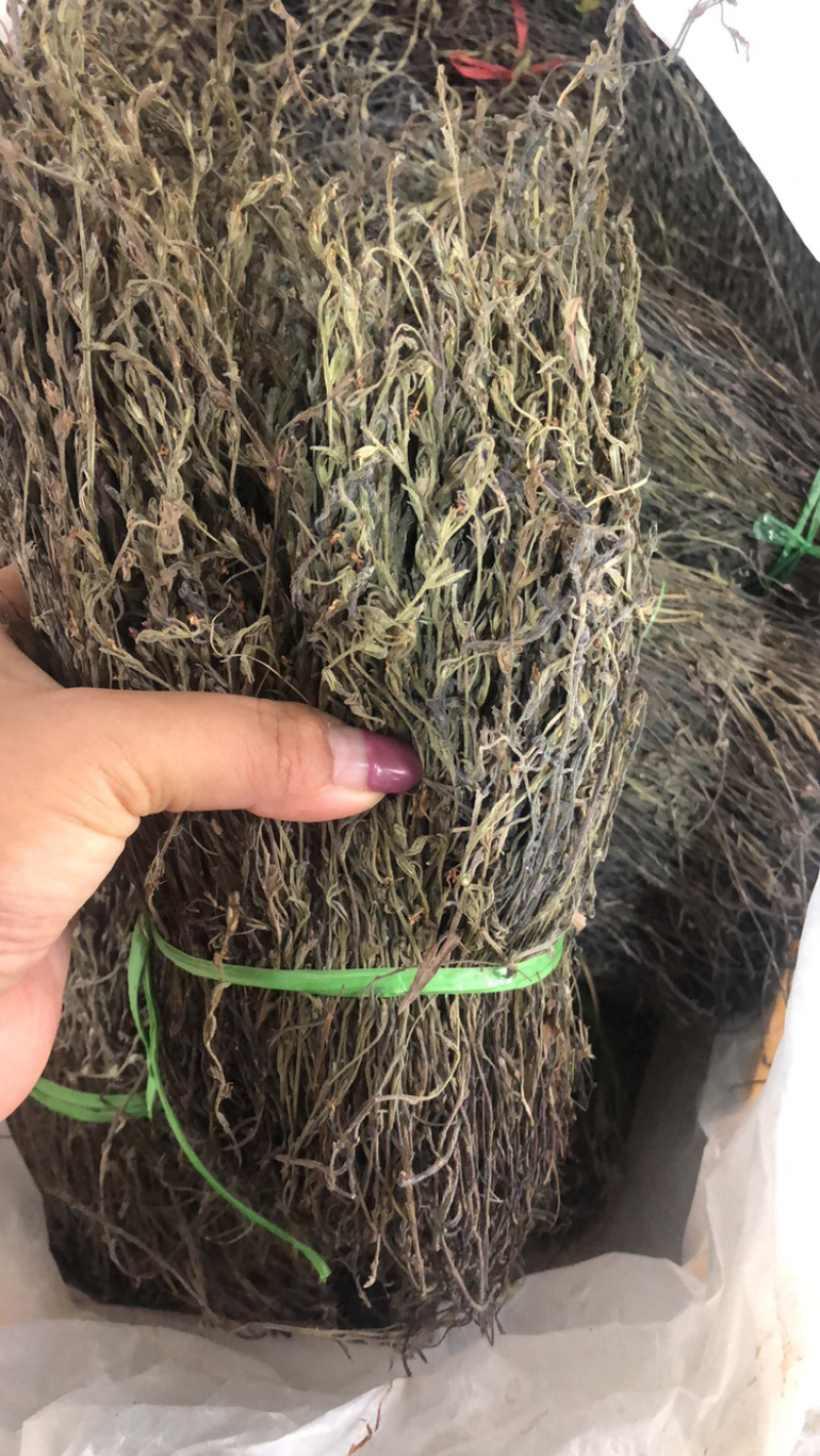 独脚金大货批发，各种规格有货！产地直销。
