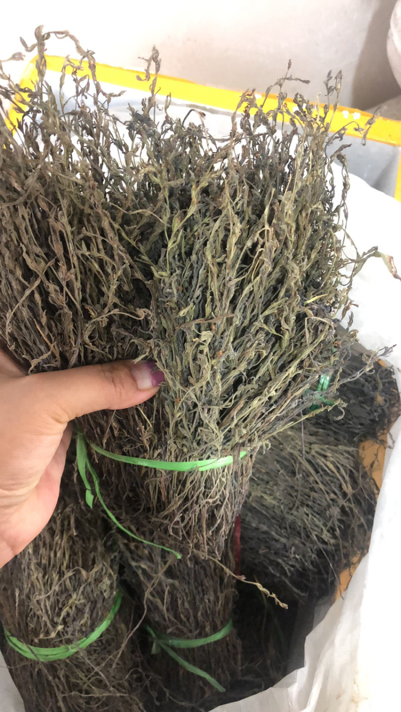 独脚金大货批发，各种规格有货！产地直销。